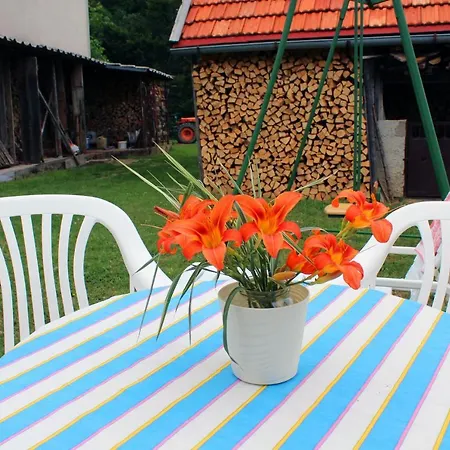 Kuca Za Odmor Cicki Vrh Chalet *