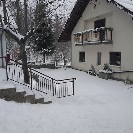 Chalet Kuca Za Odmor Cicki Vrh Brestova Draga