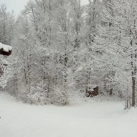 Chalet Kuca Za Odmor Cicki Vrh